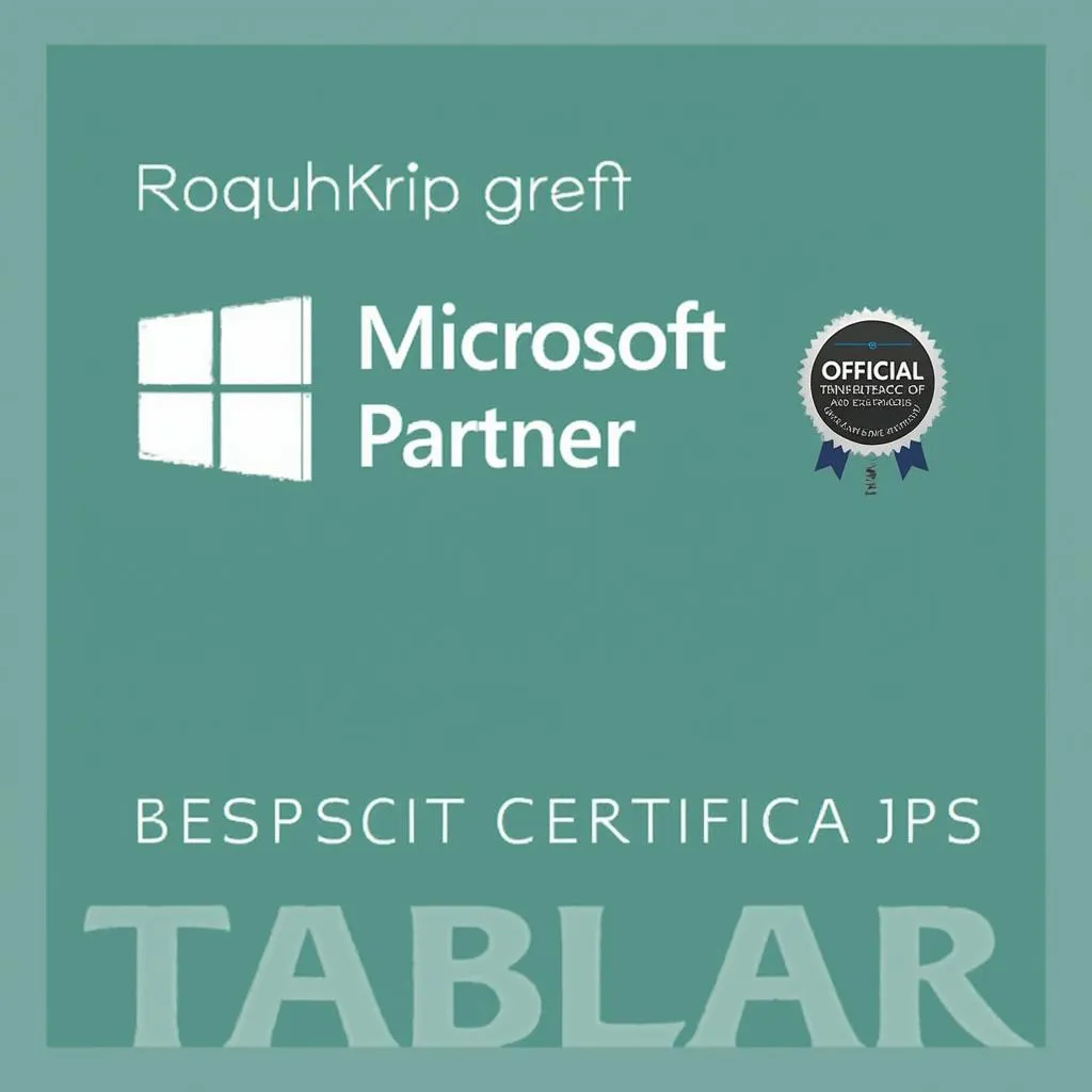 Microsoft Partner